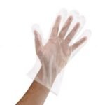 Powder-Free Clear Poly (PE) Disposable Food Service Gloves, Medium - 1 case (10000 piece)
