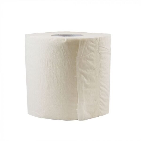 G Individually Wrapped 2-Ply Toilet Paper 450 sheets Roll - 1 case (48 roll)