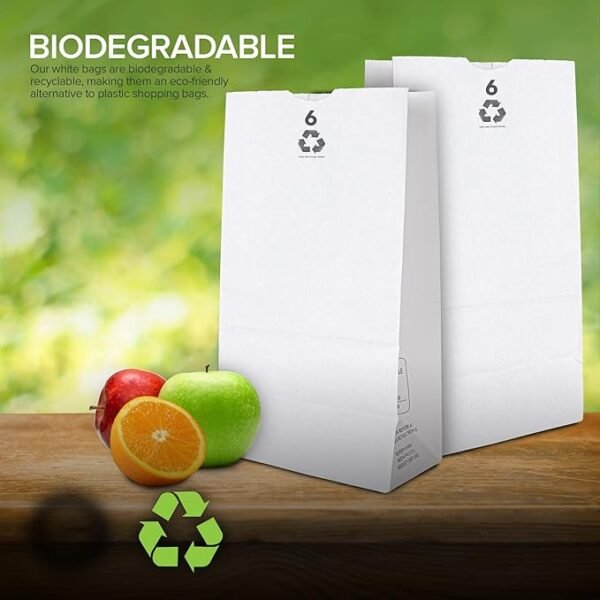 6# White Paper Grocery Bag (6 x 3 10/16 x 11 1/16 in) - 1 case (500 piece)